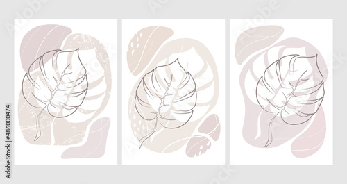 A selection of beige covers with a hand-drawn monstera leaf, abstract spots with lines.