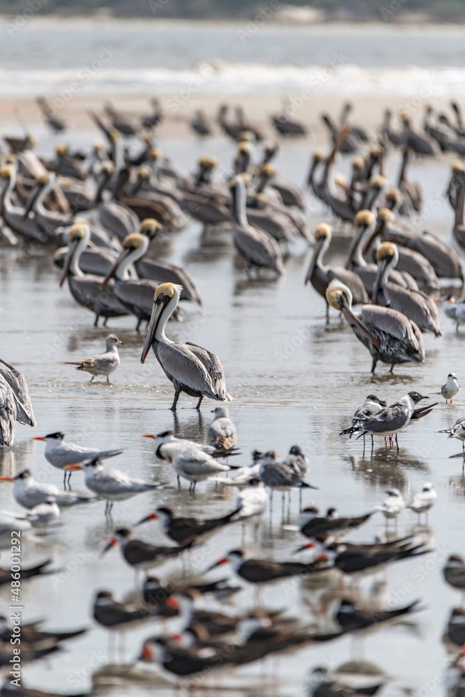 Fototapeta premium creative