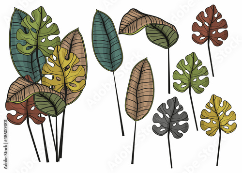 Monstera and banana leaves. Botanical vector illustration. Decorations for the interior and the holiday. Magic flowers. Magic. Multicolored drawing. Linear drawing. Postcard for March 8.