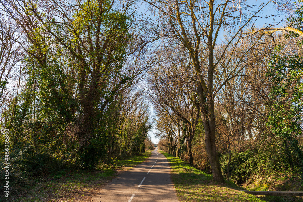 Cycle and pedestrian path near the pond of Thau, in winter, in Poussan, in Occitanie, France Cycle and pedestrian path near the pond of Thau, in winter, in Poussan, in Occitanie, France