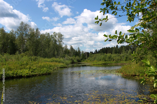Wild river in the forests of Russia on a summer sunny day. 