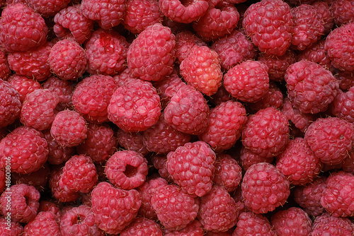 Juicy ripe raspberries background. Selective focus