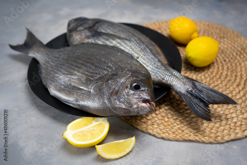 Fresh raw sea Dorada decorated with lemon sliceson grey concrete table. photo