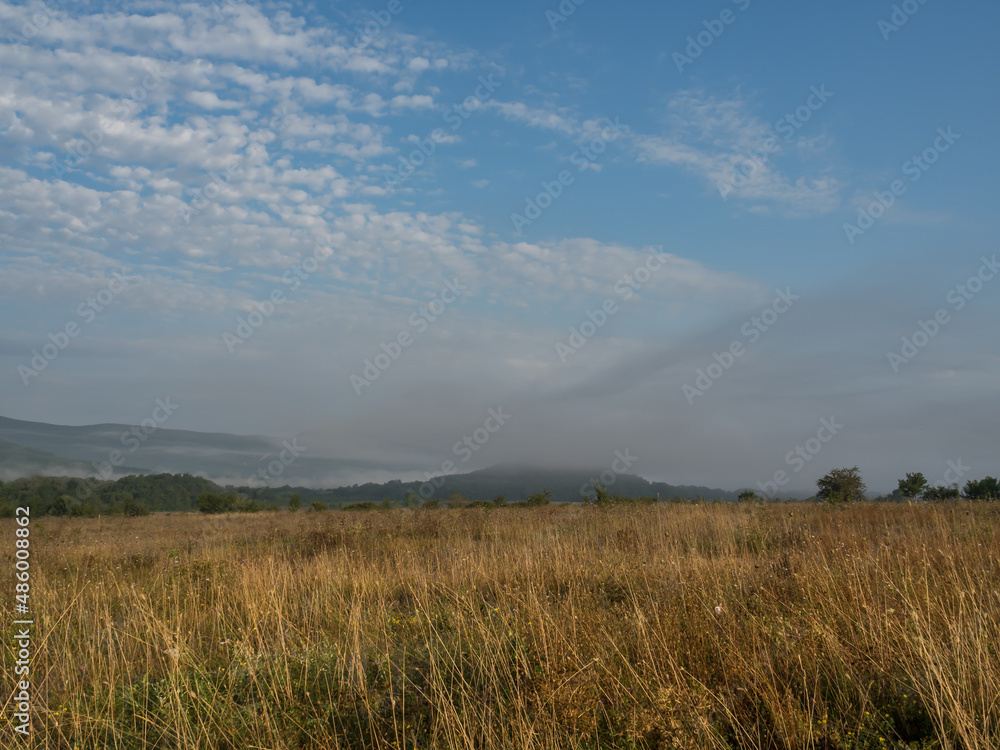 Field of dry grass and plants early in the morning, at dawn. Against the backdrop of a forest mountain. Beautiful clouds creep low. Morning landscape.