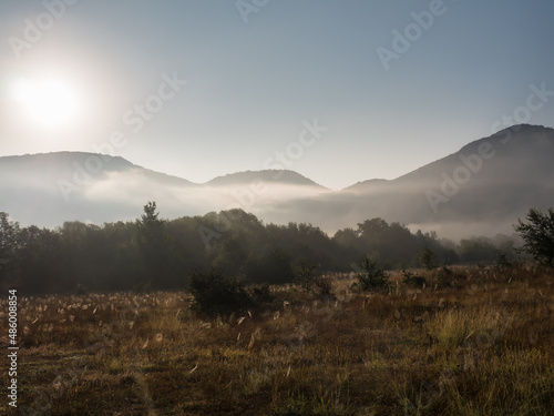 Dawn in the meadow. Dew has fallen on the grass and cobwebs are visible in the sun. The rays of the sun pass through the fog. The web sparkles in the sun. Mountains in the background.Morning landscape