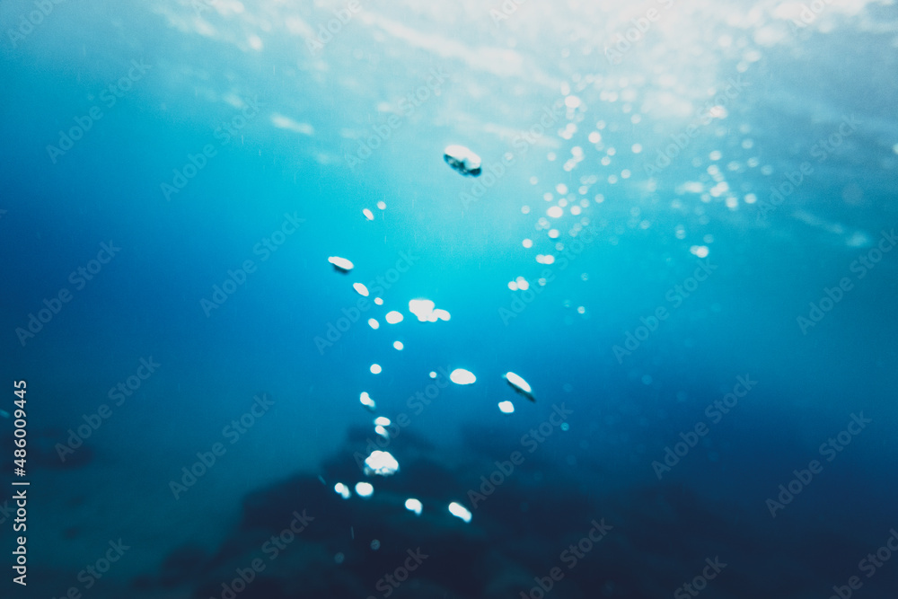 Fototapeta premium Close-up of bubbles undersea