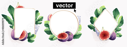 Watercolor realistic vector-style fig illustration. Circle, square, rhombus shape frames with gold lines.
