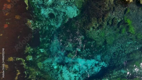 Amazing aerial of fresh water discharged from Pupu Spings, New Zealand. Largest springs known for clarity of water. photo