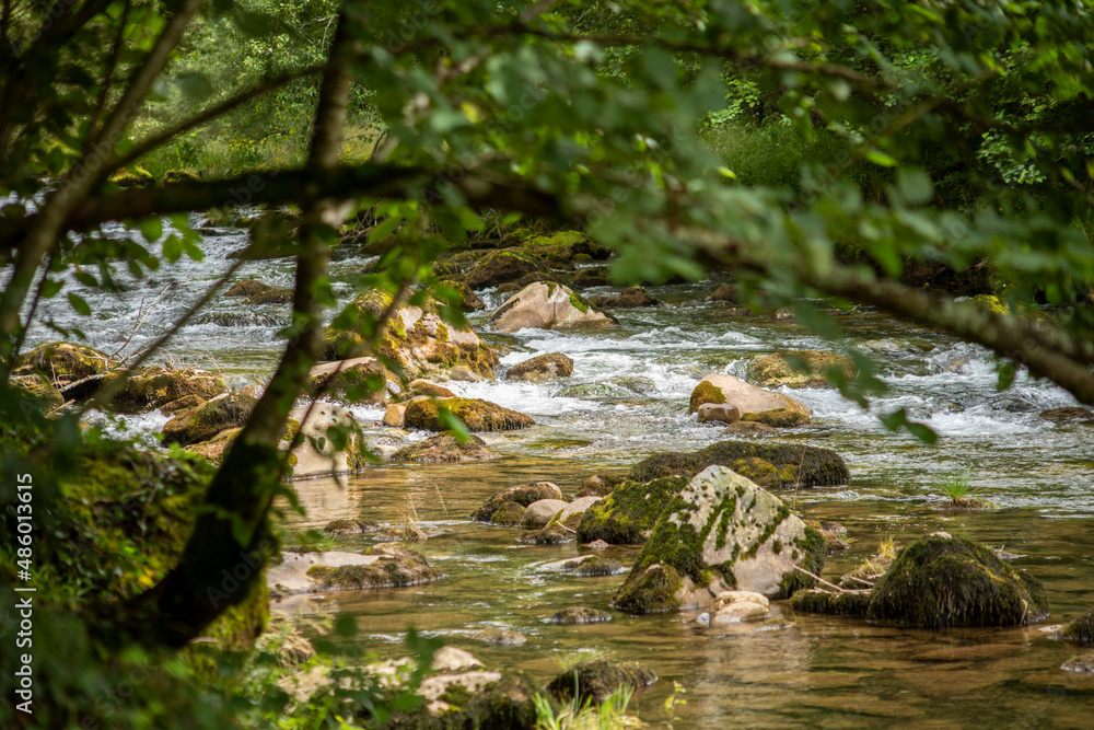 View of a flowing stream with rocks seen through the bushes View of a flowing stream with rocks seen through the bushes