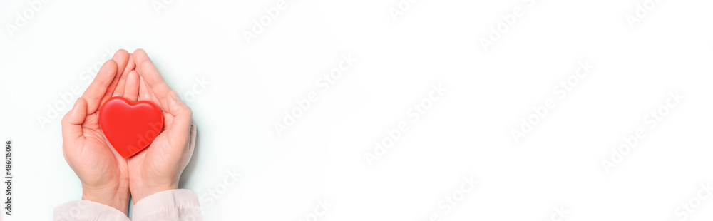 Red heart in Doctor 's hands on white background. Healthcare and hospital medical concept,organ donation concept.Symbolic of Valentine day.Heart day.Сopy space.Banner. Red heart in Doctor 's hands on white background. Healthcare and hospital medical concept,organ donation concept.Symbolic of Valentine day.Heart day.Сopy space.Banner.