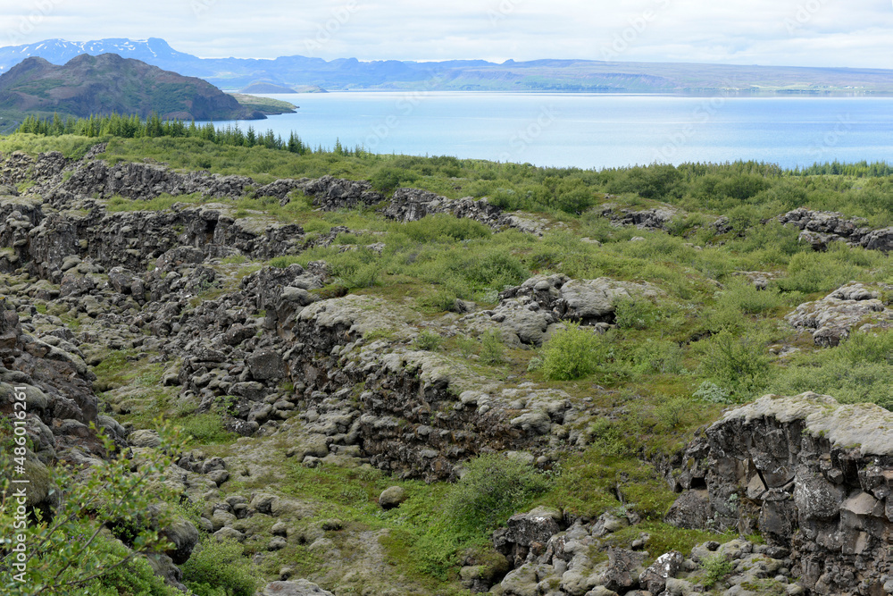 Vegetagion auf Lavafeldern und der See Thingvallavatn im Nationalpark Thingvellir in Island