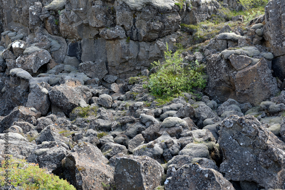 Schlucht aus Lavagestein im Nationalpark Thingvellir in Island