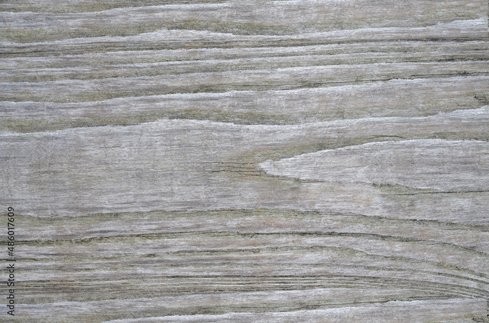 Naklejka premium Wood texture. Lining boards wall. Wooden background. pattern. Showing growth rings