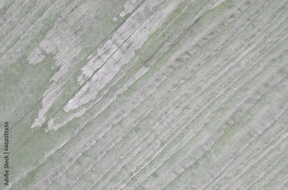 Wood texture. Lining boards wall. Wooden background. pattern. Showing growth rings Wood texture. Lining boards wall. Wooden background. pattern. Showing growth rings