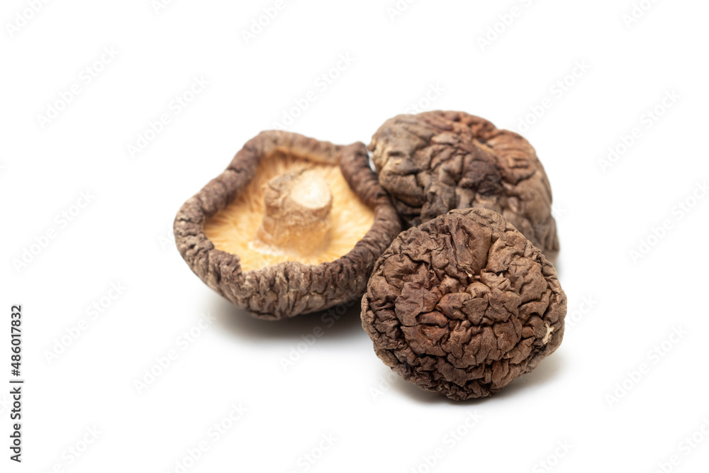 Dried shiitake mushrooms on isolated white background Dried shiitake mushrooms on isolated white background
