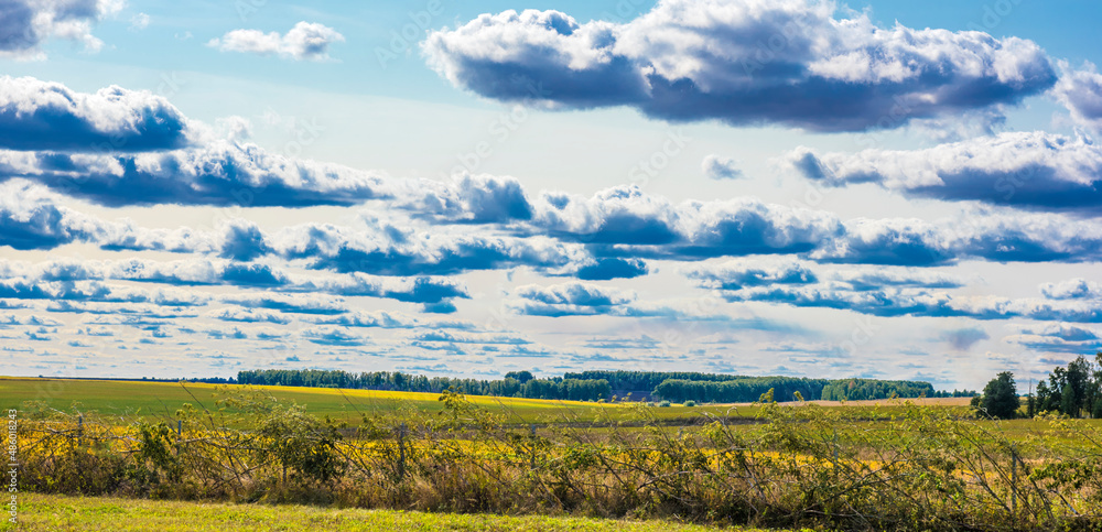 clouds in the sky above rise