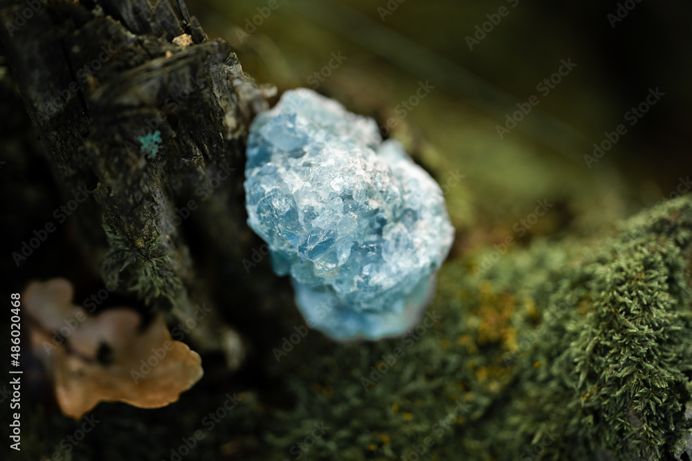 Raw crystal photography - Blue Celestine gemstone Raw crystal photography - Blue Celestine gemstone