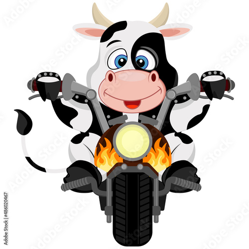 Bull biker. Vector illustration on a white background.