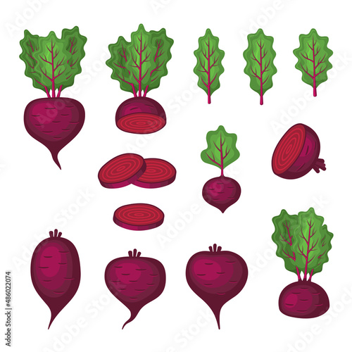 Beets Set on White Background. Flat Style Vector