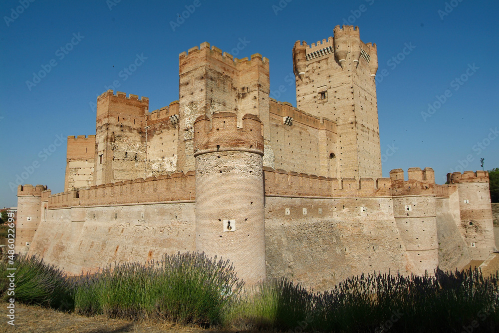 El castillo de la Mota es un castillo que se encuentra ubicado en la villa de Medina del Campo, provincia de Valladolid, Castilla y León.