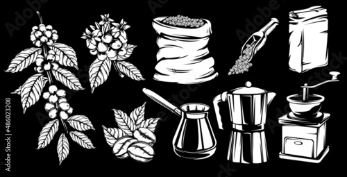 Vintage realistic black and white coffee set. Organic food. Brewing tools. Natural organic coffee plant and beans. Vector drawing. Sketch drawing. Vector set.