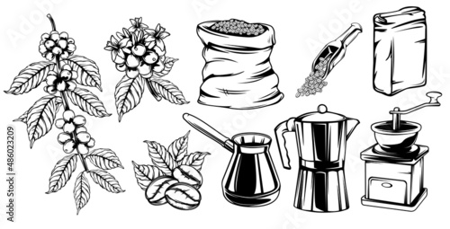 Vintage realistic black and white coffee set. Organic food. Brewing tools. Natural organic coffee plant and beans. Vector drawing. Sketch drawing. Vector set.