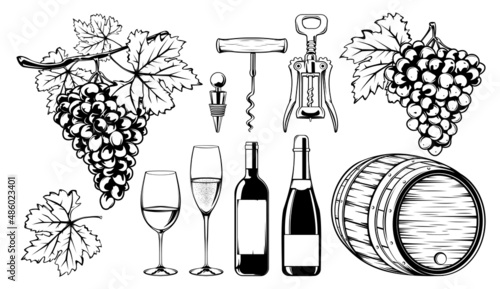 Viticulture vector set. Grapes, wine bottles and glasses, corkscrew, barrel illustration. Vineyard, traditional wine making and tasting. 
