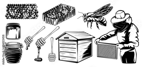 Vintage honey tools collection for design. Isolated beekeeping tools vector illustration. Vector design isolated. Sweet food. White background.