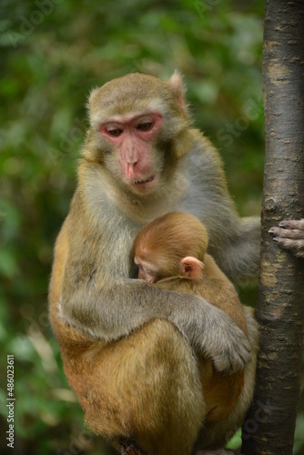 mother and baby © youm