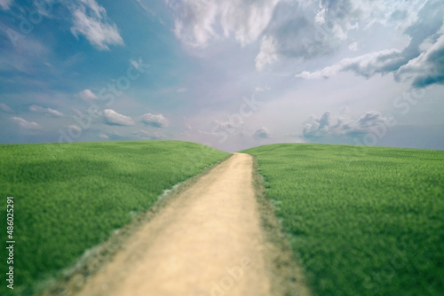 Rolling countryside with a dirt road and a blue cloudy sky in summer. 3D render.