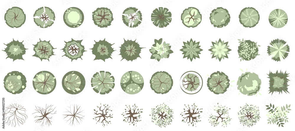 Trees and plants top view for landscape design. Icon set of colored trees and grass for architectural map, plan. Green space. Element isolated on white. Vector illustration. Kit for design project
