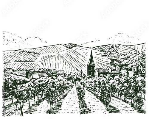 Vintage sketch illustration of vine farm. Vineyard vector drawing. Rural landscape illustration with grape fields