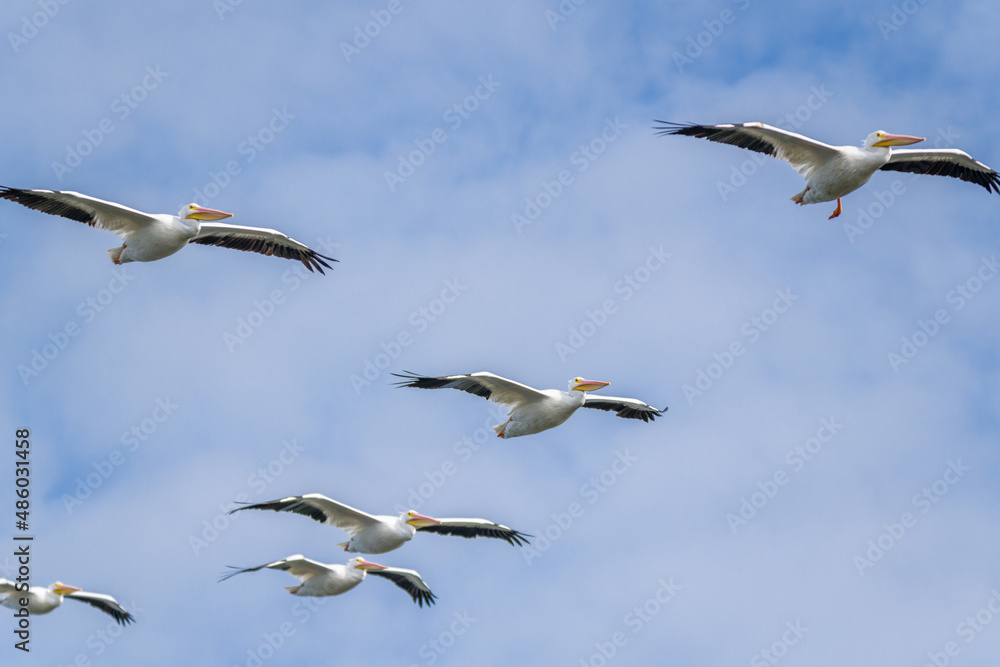 Obraz premium creative