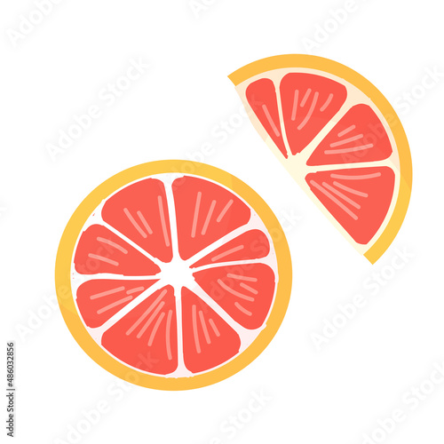 Slices of ripe grapefruit. Citrus fruit. healthy food. Vector illustration isolated on white background.