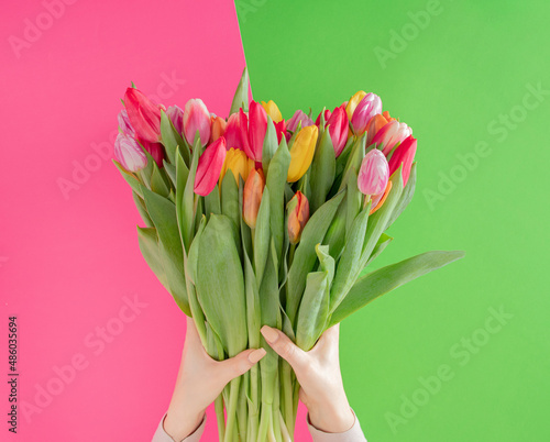 fresh colorful gardening jungle Easter tulips in women hands against green and pink background with copyspace. adorable creative decoration idea. © Jelena