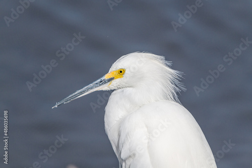 Canvas Print creative