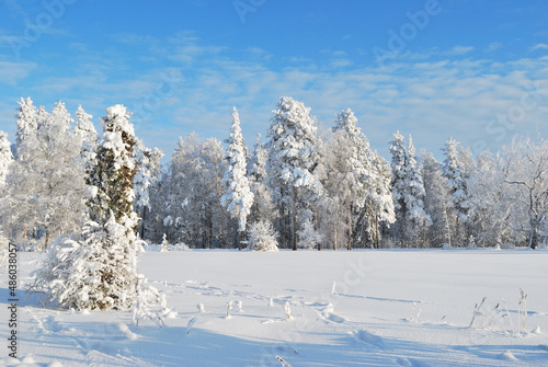 Park in Imatra in winter