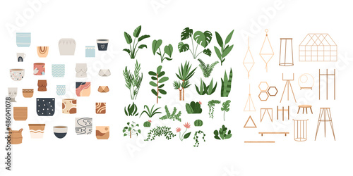 Urban jungle house. Set of cute plants in pots, planters, cacti, tropical leaves. banner, greeting card print. House interior decor elements. Houseplants growing, Home gardening