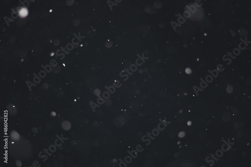 Snow on a black background. Snowflakes for overlay. Snow background.