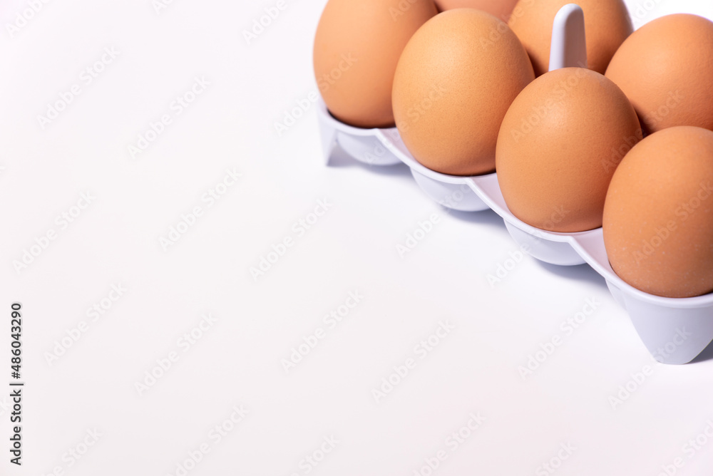  chicken eggs in a white plastic cell located diagonally to the right on a white background