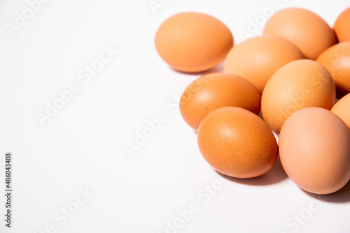 ten chicken eggs on the right on a white background