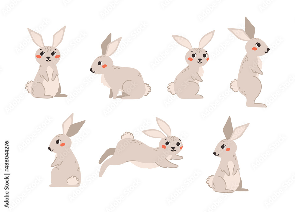 Spring set of beige rabbit. Cute flat vector illustration on white background.
