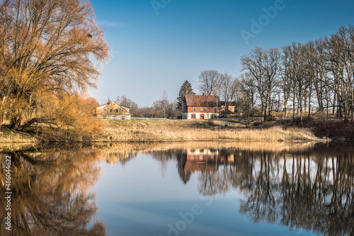 Reflection of trees and houses in the pond in spring