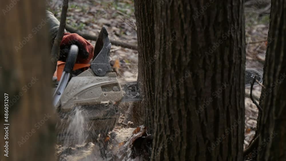 Man working with a chainsaw. Chainsaw blade cutting wood. Male hands hold a chainsaw. Man working with a chainsaw. Chainsaw blade cutting wood. Male hands hold a chainsaw.