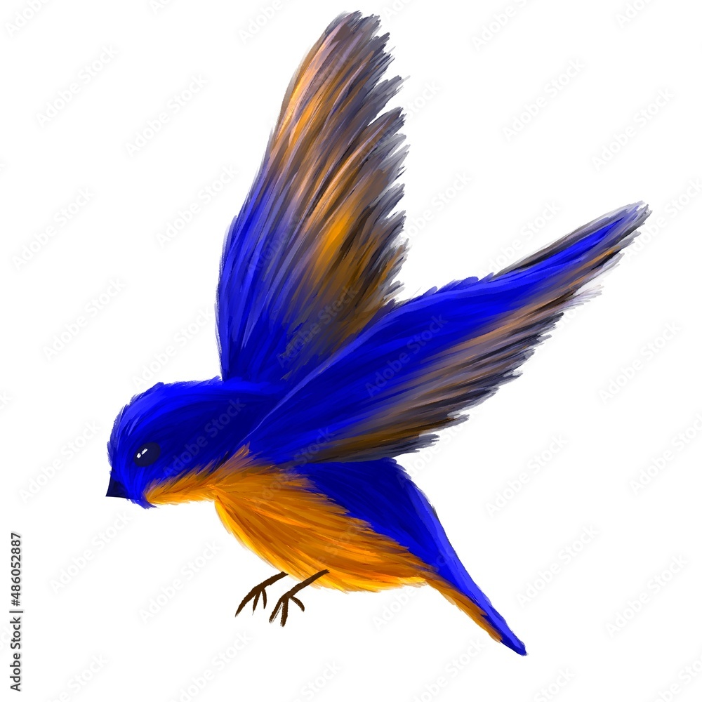 Obraz premium Blue bird with yellow wing feathers