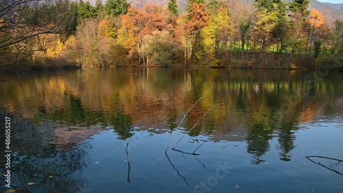 Calm lake Preddvor in Slovenia on bright sunny day. Colorful autumn or fall season. Ducks in the water. Mountains in the background. Small pond with wild animals. Tilt up, real time photo