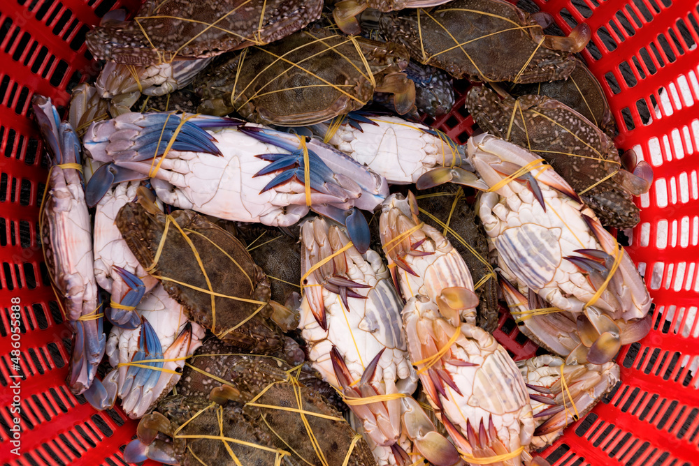 Basket of fresh crabs