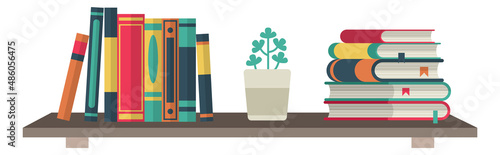 Books and houseplant on bookshelf. Wooden bookstore storage