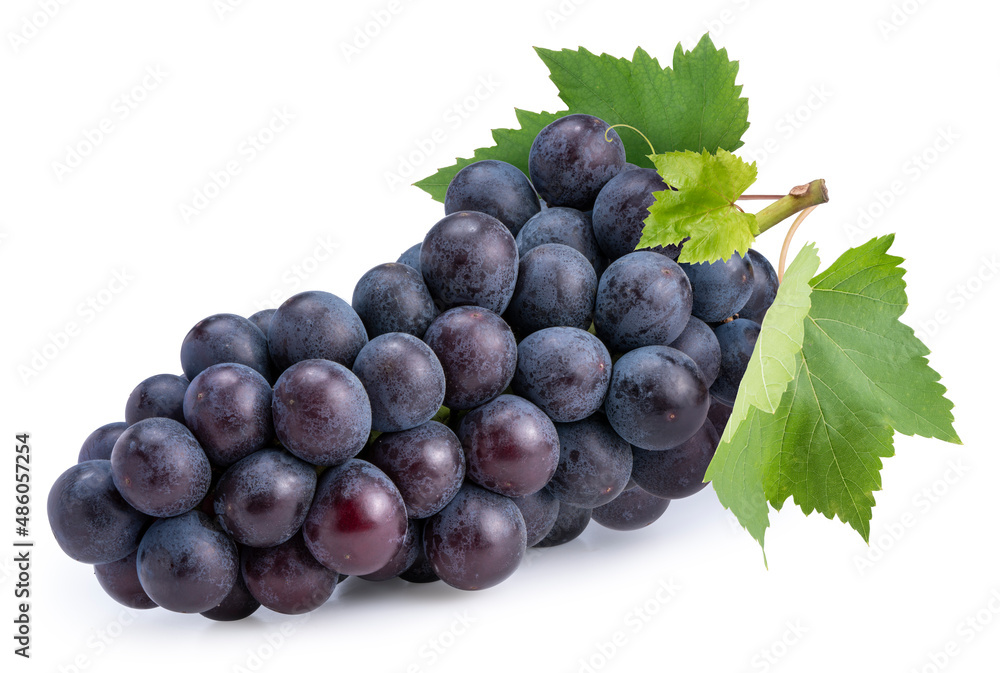 Fototapeta premium Purple grape isolated on background, Kyoho Grape with leaves isolated on white With clipping path.