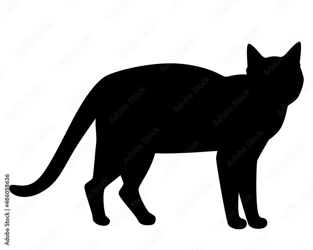 Obraz premium 猫のシルエットのイラスト
